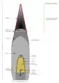 Drawing showing internal structure of Type 91 armour-piercing shell.