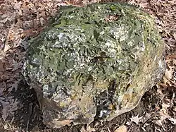 One of numerous prehistoric mining sites at the Flint Ridge State Memorial