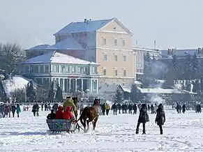 Horses pulling a sleigh on the castle lake ice.