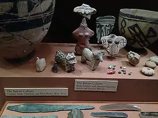 Artifacts of Tall-i Bakun in University of Chicago Oriental Institute