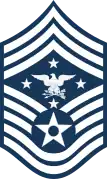 Air Force insignia(2019–present)