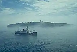 Fir at sea; Cape Flattery Light in the background.