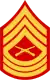 E-8 insignia