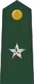 Brigadier general