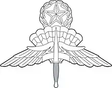 Army & Air Force Master HALO/HAHO Badges