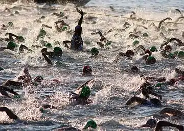 Swimmers at the start of the 2005 race