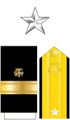 The collar star, shoulder boards, and sleeve stripes of a U.S. Public Health Service rear admiral (lower half)