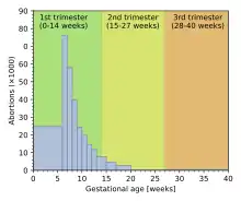 A histogram showing fraction of US abortions at various times in 2016: 25,000 in the first 6 weeks, peaking at 76,000 in the 7th week, then steadily declining to 1,500 in the 18th through 20th weeks, and the quantity after 20 weeks invisible at this scale.