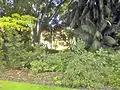 The Geology building seen through The Grove