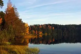 Uljaste lake