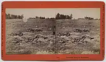 "Unburied Dead on Battlefield" by John Reekie; issued as Stero #914 being taken on the Battlefield of Gaines Mills aka First Cold Harbor April 1865; taken near the Adams Farm where 7th New York artillery was stationed June 1864 see Civil war Talk.