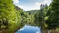 Forest lake (Ungeheuersee)