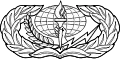 Services Badge (Enlisted)