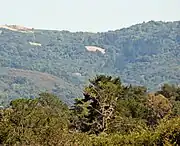 Shot looking southeast from Jasper Ridge's Sun Field Station up the Corte Madera Creek watershed with Russian Ridge on the right and Montebello Ridge on the left.