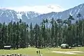 Pine forests occur in Swat at altitudes over 5,000 feet (1,500 m)