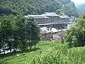 Harvesting tea leaves, on a slope right above the hotel area