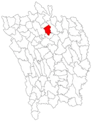 Location in Vaslui County