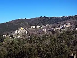 A general view of Valle-di-Rostino