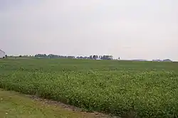 Fields on Van Tassel Road north of Weston