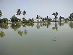 Varchikudy pond