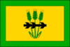 Flag of Velký Karlov