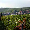 Vendersheim photographed from the east