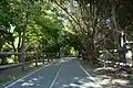 Trail through Foster Park has both the unpaved equestrian path on the left and paved bicycle path on the right