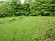 Plas Baglan fortified enclosure is probably amongst the trees beyond the clearing.