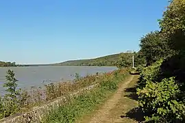 The Seine river at Vieux-Port