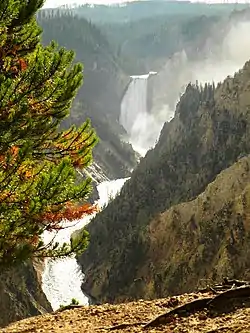 View from Artist Point