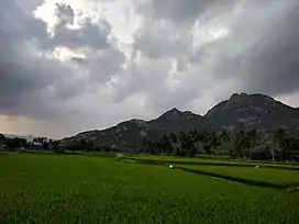 Kalvarayan Hills from Arasampattu