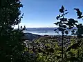 View of Matiu / Somes Island from Mt Kaukau track