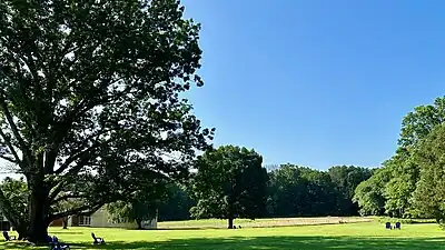 View of the Institute Woods from Fuld Hall