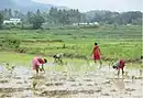 Durgi village view2 in rain season