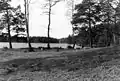 Virserum Lake, spring 1991.