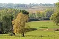 Landscape near Sint-Goriks-Oudenhove