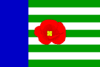 Flag of Veselí