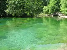 Vrelo Bosne (Summer 2010)