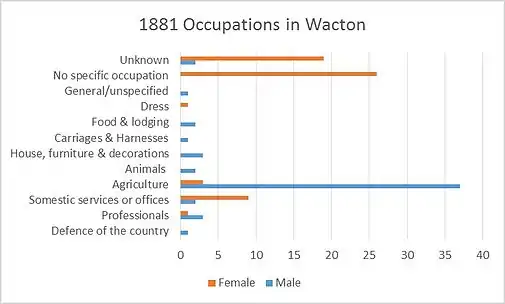 A graph showing the occupations of Wactons residents in 1881.