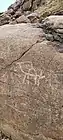 Petroglyphs depicting camels in Wadi Shie