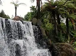 Lake Ngakoro Waterfall