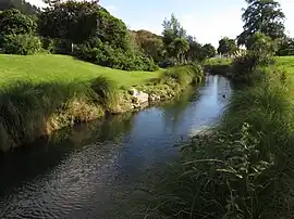 Stream with vegetation on banks