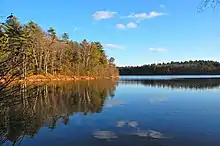 The pond in fall