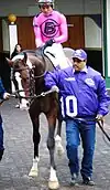 War of Will before the 2018 Breeders' Cup Juvenile Turf