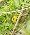 In Everglades National Park.