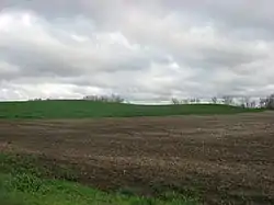 Ware Mounds and Village Site