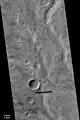 Warrego Valles, as seen by Mariner 9. This image suggests that rain/snow was necessary to form this kind of branched network of channels.