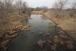 Photo of the Upper Washita River