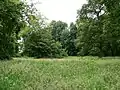 Inside the Earthworks in Wassell Wood