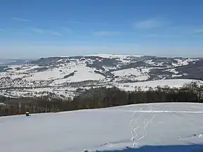 The Wasserkuppe seen from south